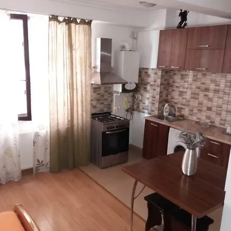 Solid House Homestay