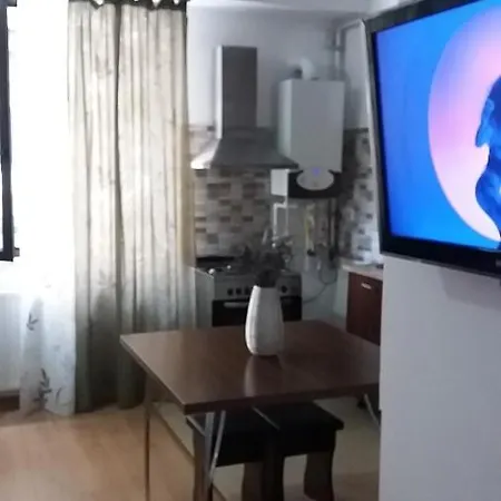 Homestay Solid House
